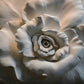 Rose wall art Flowers wallpaper Floral Peel and stick wallpaper Textured wallpaper adhesive wallpaper Botanical removable wallpaper