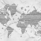 World map mural Removable wallpaper Textured wallpaper fabric wallpaper vinyl wallpaper modern wallpaper wall print art detailed world map
